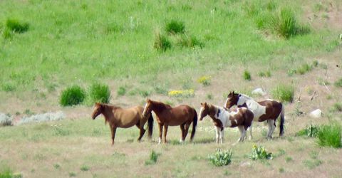 000 Secret Springs, Gerlach, NV 89412 Photo