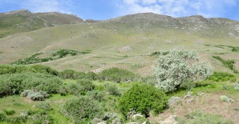 000 Secret Springs, Gerlach, NV 89412 Photo