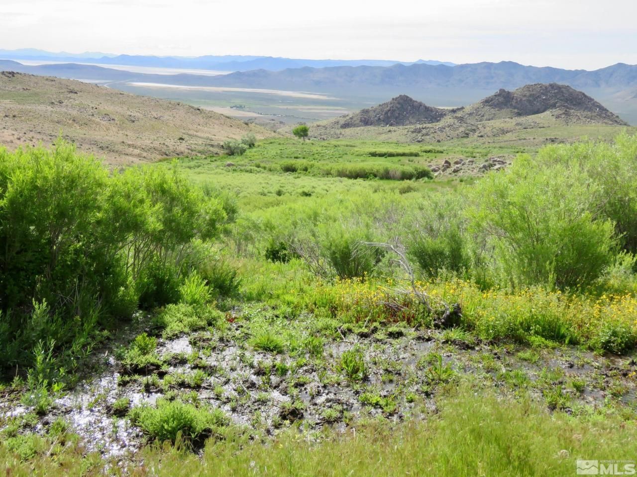 000 Secret Springs, Gerlach, NV 89412 Photo