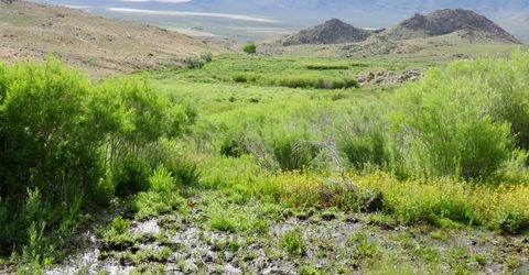 000 Secret Springs, Gerlach, NV 89412 Photo