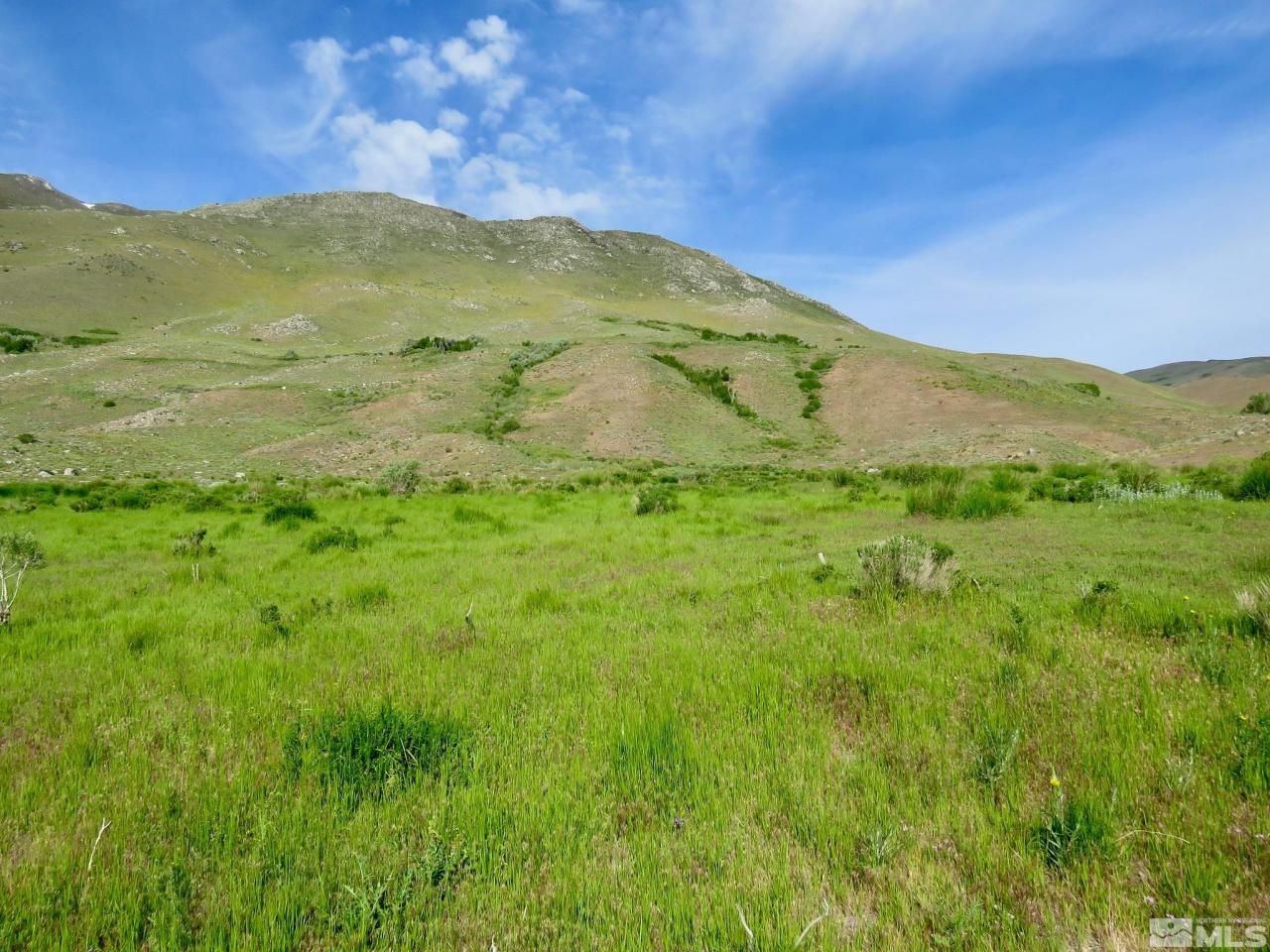 000 Secret Springs, Gerlach, NV 89412 Photo