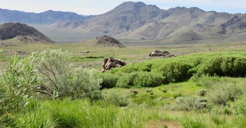 000 Secret Springs, Gerlach, NV 89412 Photo