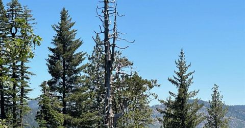 25609 Hoosier Rd, Nevada City, CA 95959 Photo