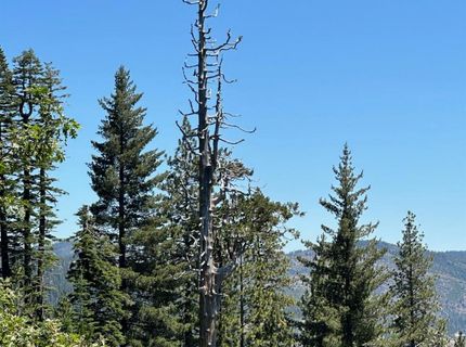 25609 Hoosier Rd, Nevada City, CA 95959 Photo