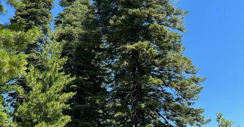 25609 Hoosier Rd, Nevada City, CA 95959 Photo