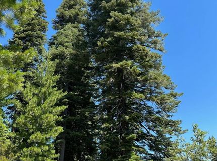 25609 Hoosier Rd, Nevada City, CA 95959 Photo