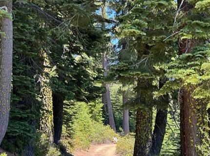 25609 Hoosier Rd, Nevada City, CA 95959 Photo