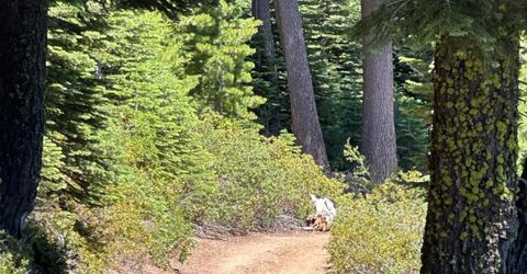 25609 Hoosier Rd, Nevada City, CA 95959 Photo