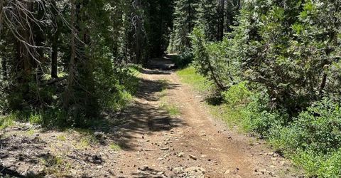 25609 Hoosier Rd, Nevada City, CA 95959 Photo