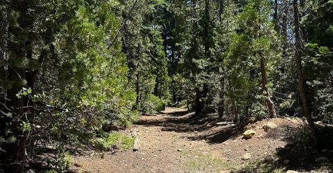 25609 Hoosier Rd, Nevada City, CA 95959 Photo