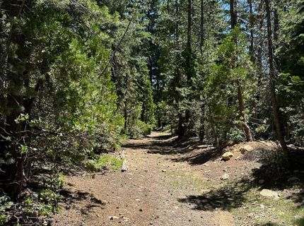 25609 Hoosier Rd, Nevada City, CA 95959 Photo