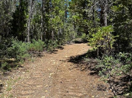 25609 Hoosier Rd, Nevada City, CA 95959 Photo