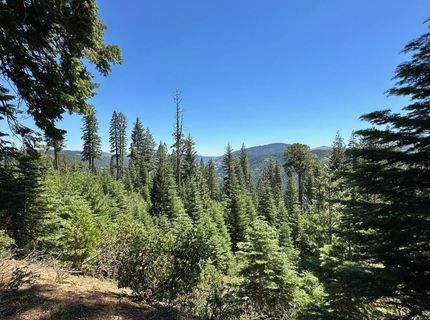 25609 Hoosier Rd, Nevada City, CA 95959 Photo