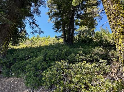 25609 Hoosier Rd, Nevada City, CA 95959 Photo