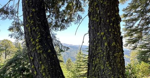 25609 Hoosier Rd, Nevada City, CA 95959 Photo