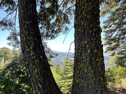 25609 Hoosier Rd, Nevada City, CA 95959 Photo