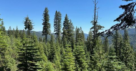 25609 Hoosier Rd, Nevada City, CA 95959 Photo