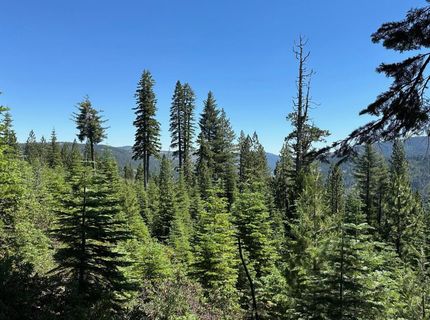 25609 Hoosier Rd, Nevada City, CA 95959 Photo