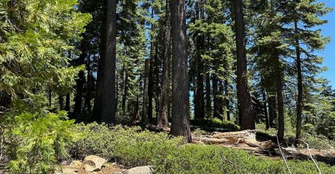 25609 Hoosier Rd, Nevada City, CA 95959 Photo