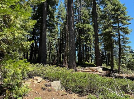 25609 Hoosier Rd, Nevada City, CA 95959 Photo