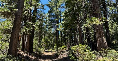 25609 Hoosier Rd, Nevada City, CA 95959 Photo