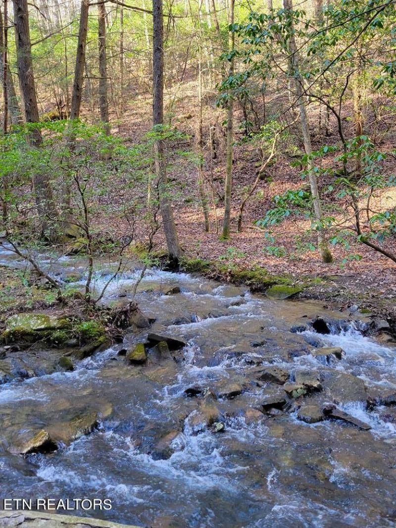 Tall Tree Tr, Dunlap, TN 37327 Main Photo