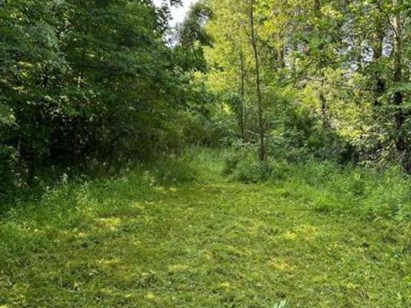 0000 Birch Run Rd., Arbela Twp, MI 48746