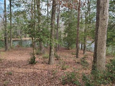 Lots 26 and 27 OLDE MILL LANE, NEW CHURCH, VA 23415