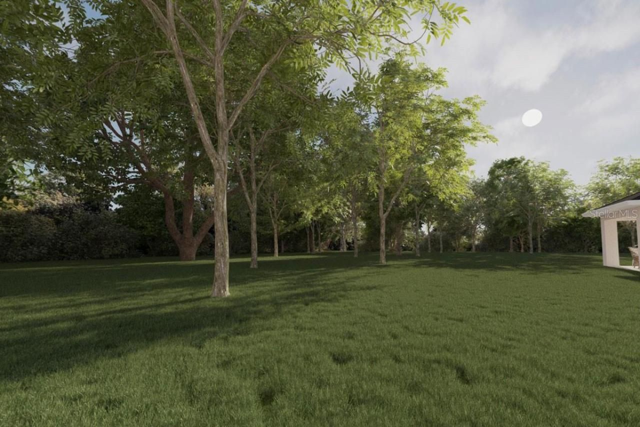 Tbd Guava Lane, Ocklawaha, FL 32179 Photo