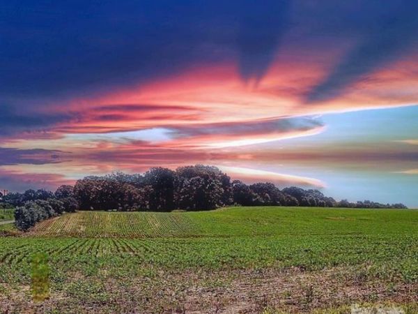 1490 Pork Road, Peachland, NC 28133