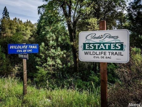30 Wildlife Trail, Fiddletown, CA 95629