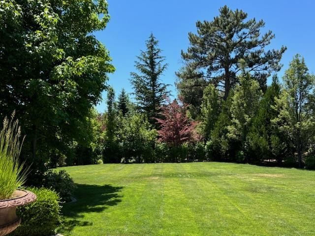 631 California Avenue, Reno, NV 89509 Photo