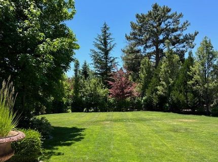 631 California Avenue, Reno, NV 89509 Photo