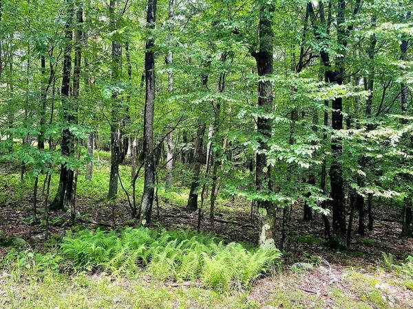 Lot 120 Hemlock Circle, Terra Alta, WV 26764