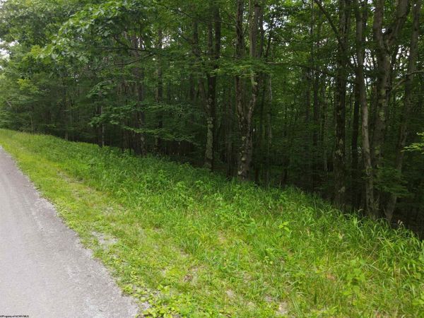 138 Day Lily Circle, Terra Alta, WV 26764