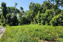 405 Harmon Street photo 4