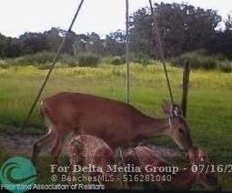 725 Moon Ranch Rd, Sebring, FL 33870 Photo