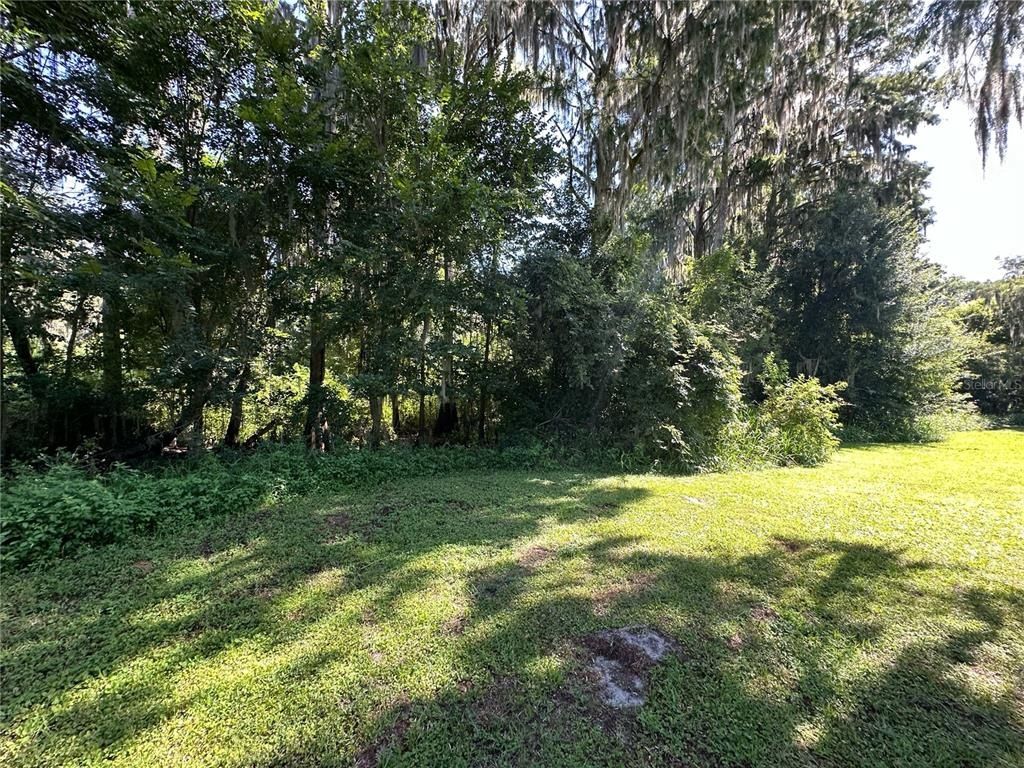 Se Hawthorne Road, Gainesville, FL 32641 Photo