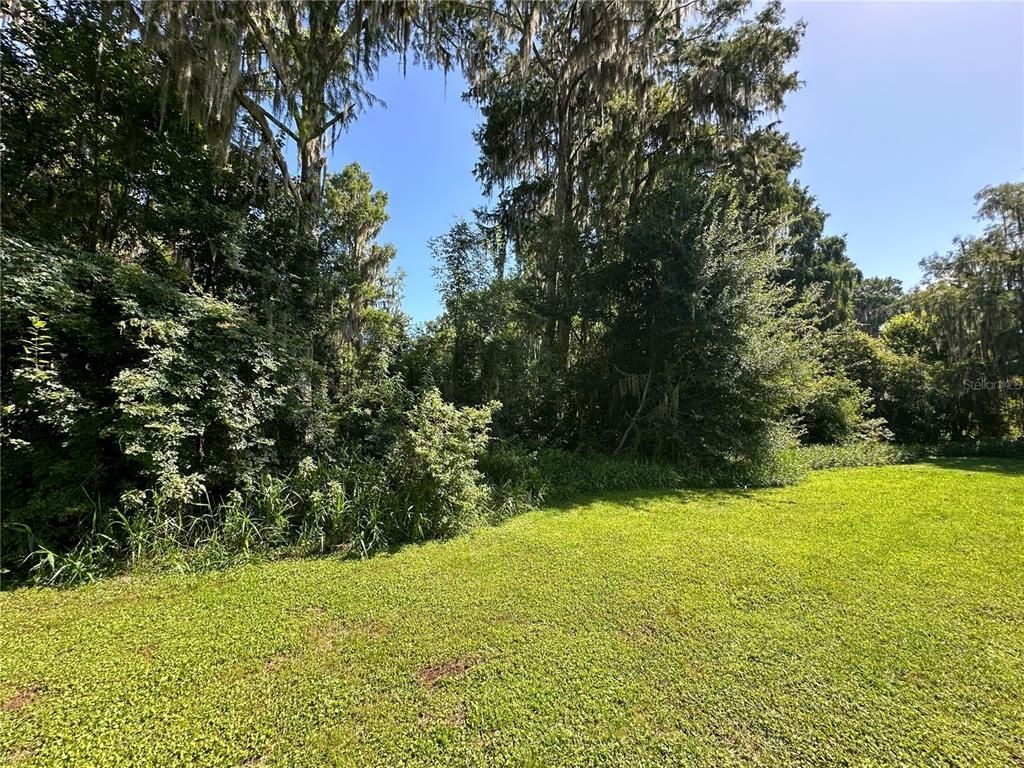 Se Hawthorne Road, Gainesville, FL 32641 Photo