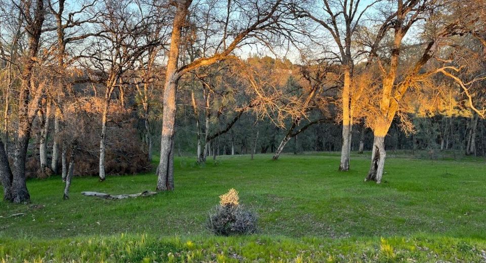 23045-lot 222 Moon Ridge Ct, Auburn, CA 95602 Photo