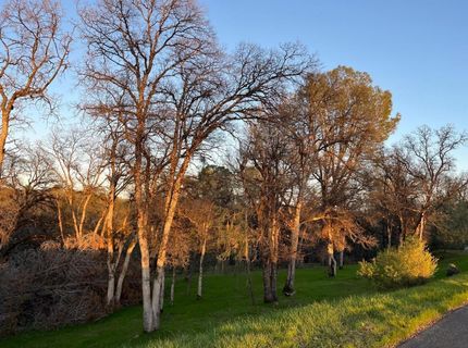 23045-lot 222 Moon Ridge Ct, Auburn, CA 95602 Photo