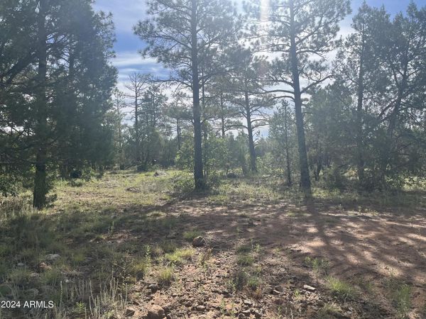 5509 RED SQUIRREL Lane, Unit 58, Lakeside, AZ 85929