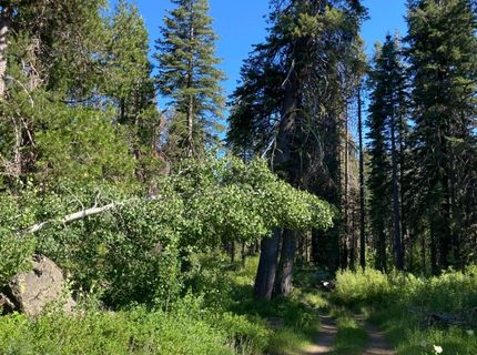 180 Bucks Meadow Dr, Bucks Lake, CA 95971 Photo