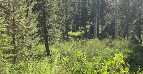 180 Bucks Meadow Dr, Bucks Lake, CA 95971 Photo