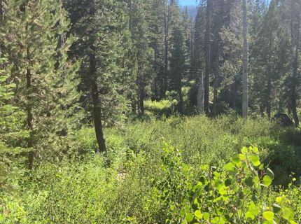 180 Bucks Meadow Dr, Bucks Lake, CA 95971 Photo