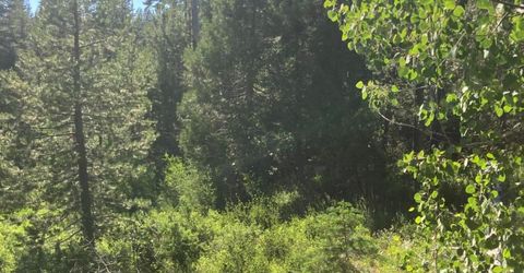 180 Bucks Meadow Dr, Bucks Lake, CA 95971 Photo