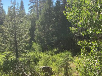 180 Bucks Meadow Dr, Bucks Lake, CA 95971 Photo