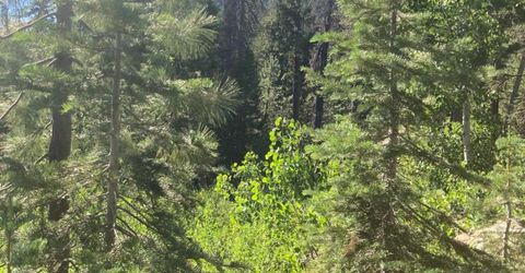 180 Bucks Meadow Dr, Bucks Lake, CA 95971 Photo