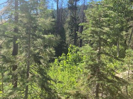 180 Bucks Meadow Dr, Bucks Lake, CA 95971 Photo
