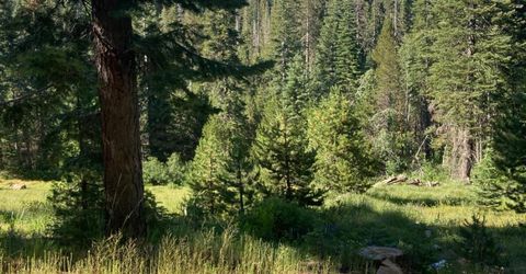 180 Bucks Meadow Dr, Bucks Lake, CA 95971 Photo